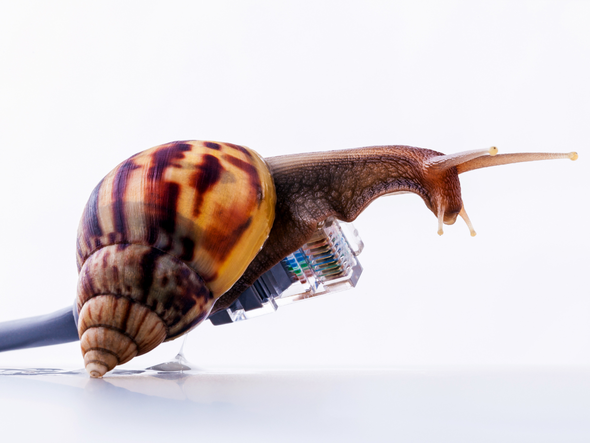 Your Website Is Too Slow